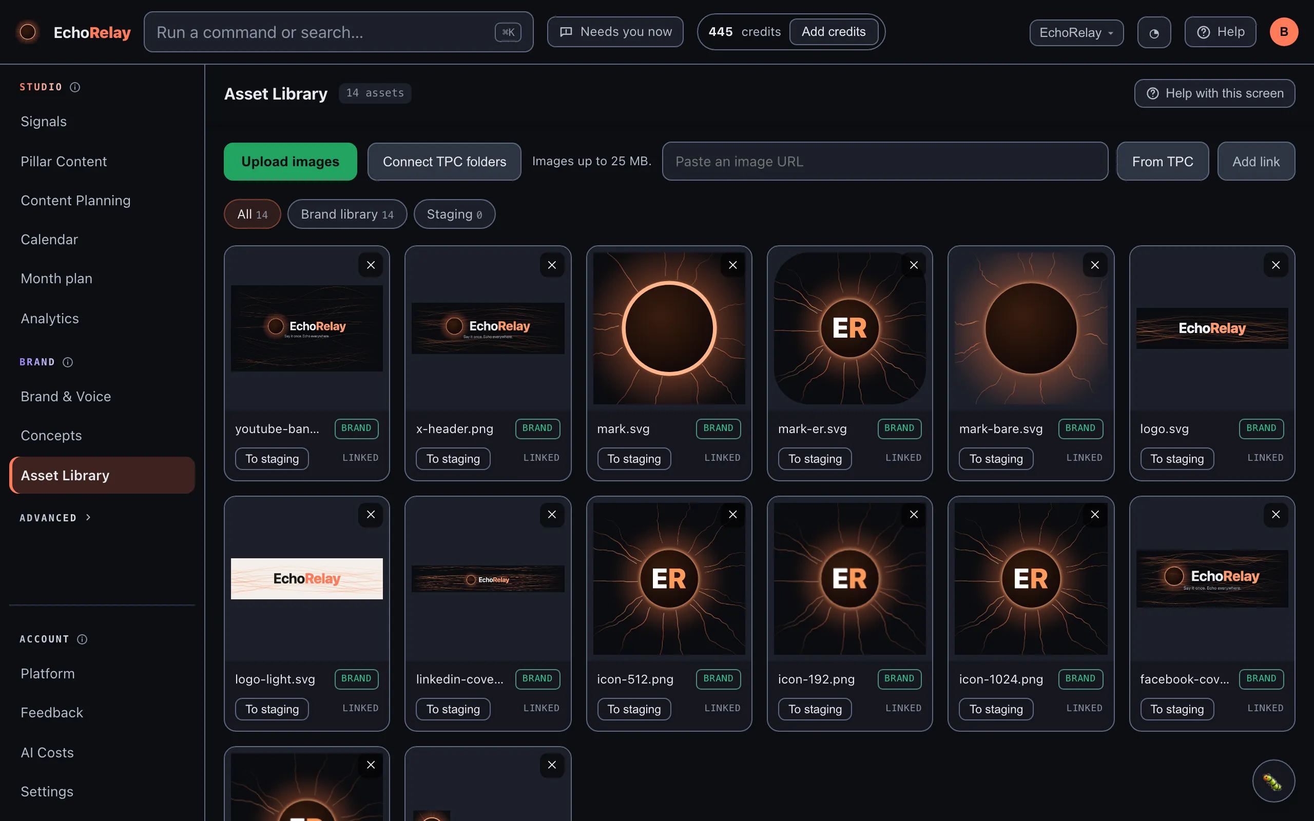 The Asset Library